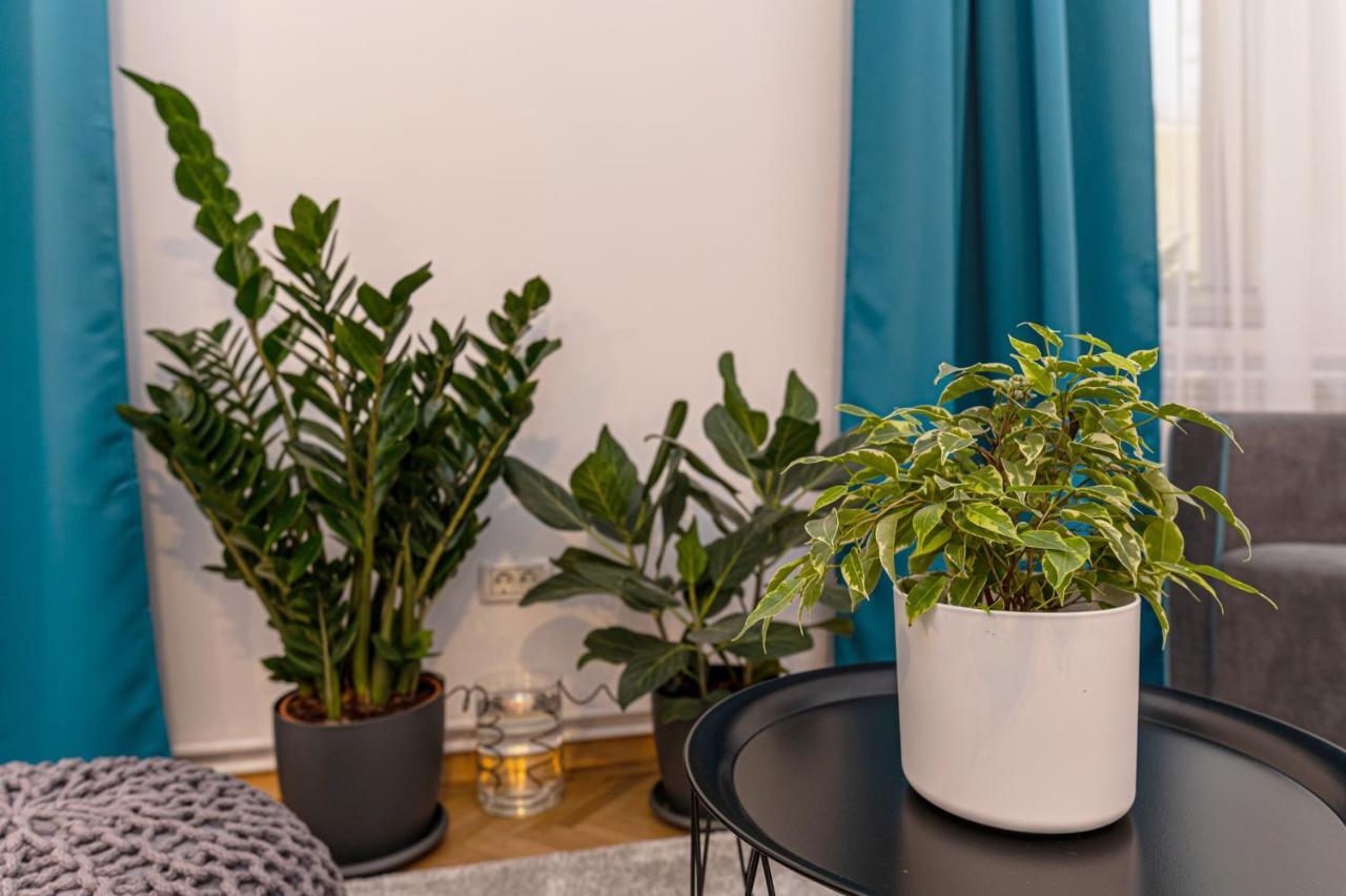 Garden Hideout - Central Apartment 布拉索夫 外观 照片